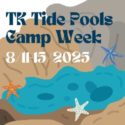 TK Tide Pools Camp Week 8/11-15/2025